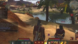 Скриншот к игре Age of Conan: Hyborian Adventures