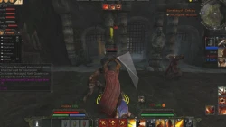 Скриншот к игре Age of Conan: Hyborian Adventures