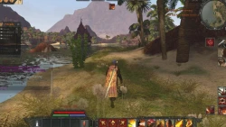 Скриншот к игре Age of Conan: Hyborian Adventures