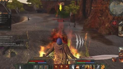 Скриншот к игре Age of Conan: Hyborian Adventures