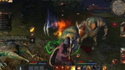 Скриншот к игре Age of Conan: Hyborian Adventures
