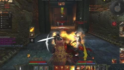 Скриншот к игре Age of Conan: Hyborian Adventures