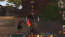 Скриншот к игре Age of Conan: Hyborian Adventures