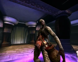 Скриншот к игре Age of Conan: Hyborian Adventures