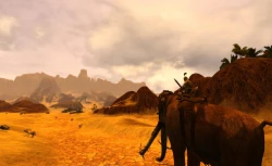 Скриншот к игре Age of Conan: Hyborian Adventures
