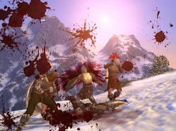 Скриншот к игре Age of Conan: Hyborian Adventures