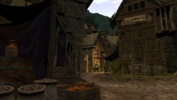 Скриншот к игре Age of Conan: Hyborian Adventures