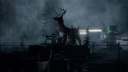 Alan Wake Screenshots