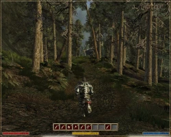 Скриншот к игре Gothic 3
