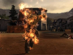 Скриншот к игре Call of Juarez