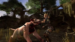 Скриншот к игре Dungeons & Dragons Online