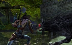 Скриншот к игре Dungeons & Dragons Online
