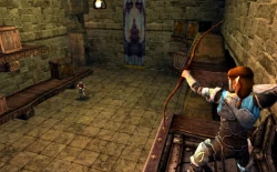 Скриншот к игре Dungeons & Dragons Online