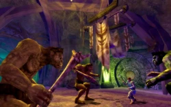 Скриншот к игре Dungeons & Dragons Online