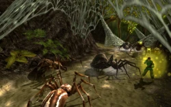 Скриншот к игре Dungeons & Dragons Online
