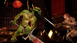 Скриншот к игре Dungeons & Dragons Online