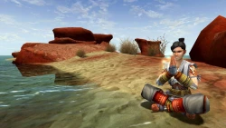 Скриншот к игре Dungeons & Dragons Online
