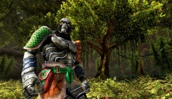 Скриншот к игре Dungeons & Dragons Online