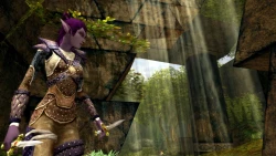 Скриншот к игре Dungeons & Dragons Online
