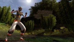 Скриншот к игре Dungeons & Dragons Online