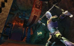 Скриншот к игре Dungeons & Dragons Online