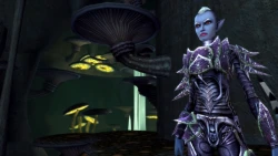 Скриншот к игре Dungeons & Dragons Online
