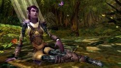 Скриншот к игре Dungeons & Dragons Online
