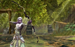 Скриншот к игре Dungeons & Dragons Online