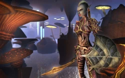 Скриншот к игре Dungeons & Dragons Online