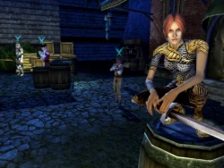 Скриншот к игре Dungeons & Dragons Online