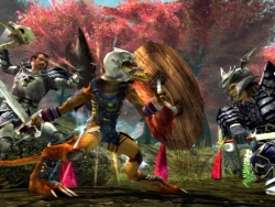 Скриншот к игре Dungeons & Dragons Online