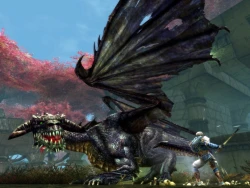 Скриншот к игре Dungeons & Dragons Online