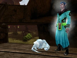 Скриншот к игре Dungeons & Dragons Online