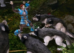Скриншот к игре Dungeons & Dragons Online
