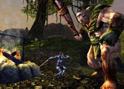 Скриншот к игре Dungeons & Dragons Online