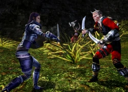 Скриншот к игре Dungeons & Dragons Online