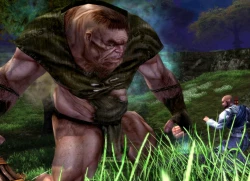 Скриншот к игре Dungeons & Dragons Online