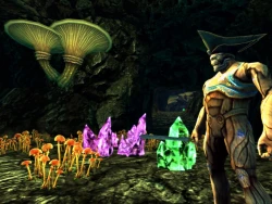 Скриншот к игре Dungeons & Dragons Online