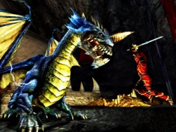 Скриншот к игре Dungeons & Dragons Online