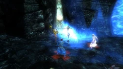Скриншот к игре Dungeons & Dragons Online