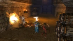 Скриншот к игре Dungeons & Dragons Online