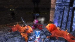 Скриншот к игре Dungeons & Dragons Online