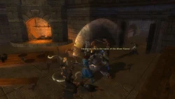 Скриншот к игре Dungeons & Dragons Online