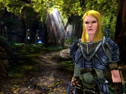 Скриншот к игре Dungeons & Dragons Online