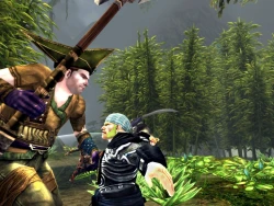 Скриншот к игре Dungeons & Dragons Online
