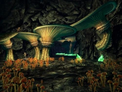 Скриншот к игре Dungeons & Dragons Online