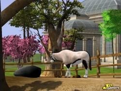 Скриншот к игре Wildlife Park 2
