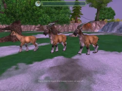 Zoo Tycoon 2: Endangered Species Screenshots