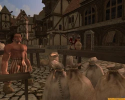 Скриншот к игре Dark and Light (2006)