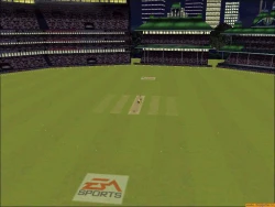 Cricket 2000 Screenshots